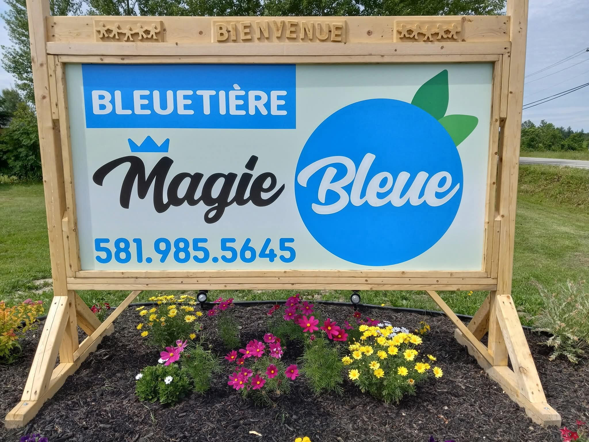 Affiche Magie Bleue